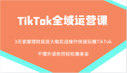 TikTokȫӪΣʵս׬TikTokȻ׬