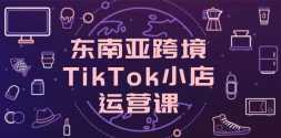 ǿ羳TikTokСӪΣյתļ
