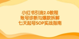 С2.0̳̣˺뱬⣬SOPʵսָ